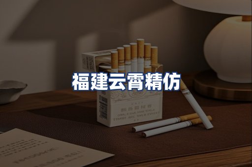 福建云霄精仿